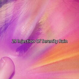 Album cover of !!!! 29 Injection Of Serenity Rain !!!!