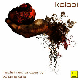 Album cover of Reclaimed Property Volume 1