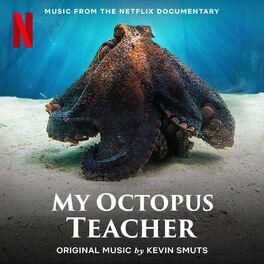 Album cover of My Octopus Teacher (Music from the Netflix Documentary)