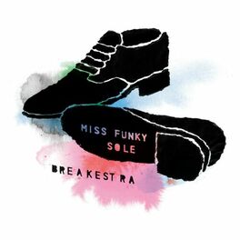 Album cover of Miss Funky Sole