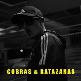 Album cover of Cobras & Ratazanas