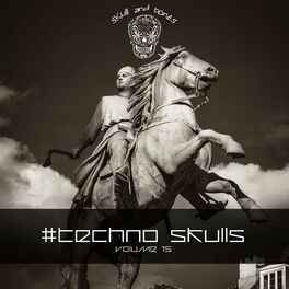Album cover of Techno Skulls, Vol. 15