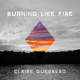 Album cover of Burning Like Fire