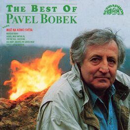 Album cover of The Best Of Pavel Bobek
