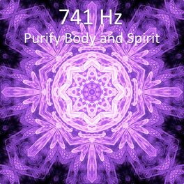 Album cover of 741 Hz Purify Body and Spirit