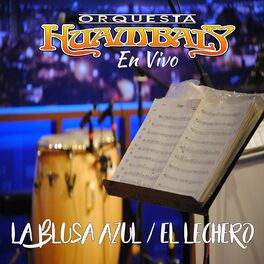 Album cover of La Blusa Azul - el Lechero (En Vivo)