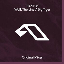 Album cover of Walk The Line / Big Tiger