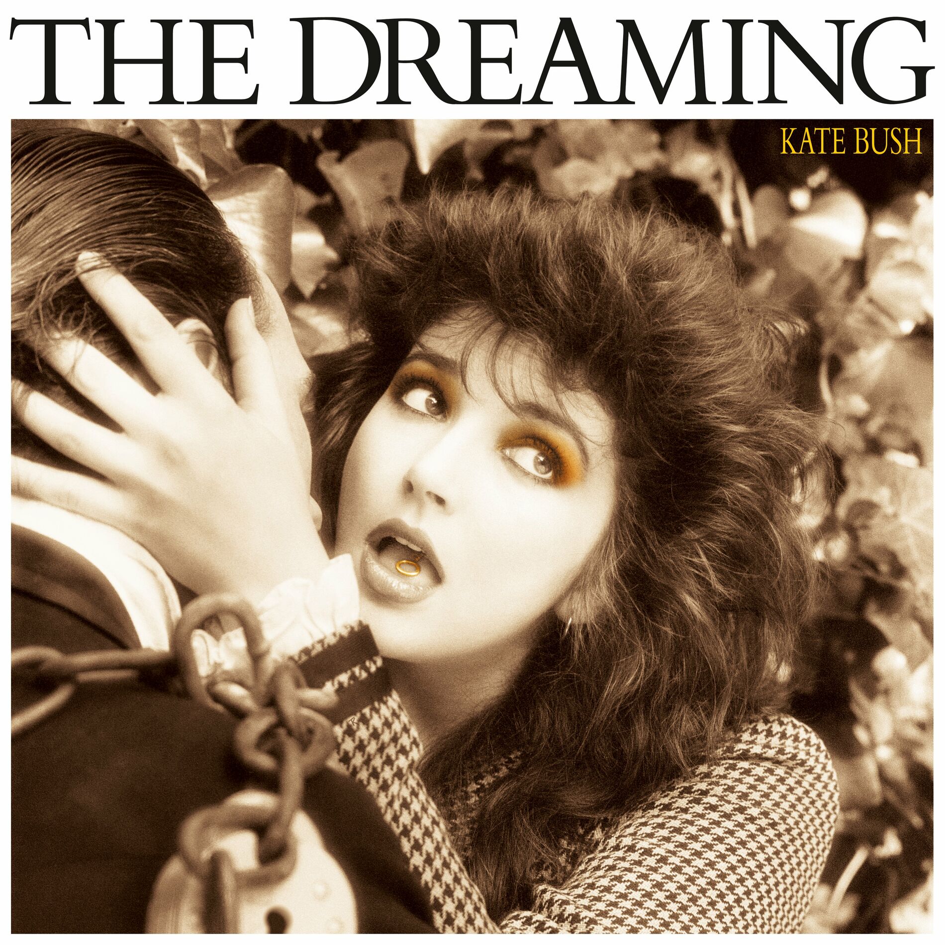 Kate Bush - The Dreaming: lyrics and songs | Deezer