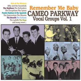 Album cover of Remember Me Baby: Cameo Parkway Vocal Groups Vol. 1