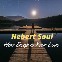Album cover of How deep is your love