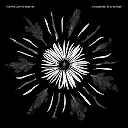 Album cover of To Redefine / To Be Defined