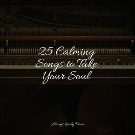 Album cover of 25 Calming Songs to Take Your Soul