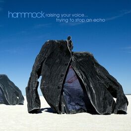 Album cover of Raising Your Voice... Trying to Stop an Echo