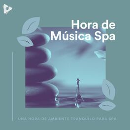 Album cover of 1 Hora de Ambiente Tranquilo para Spa