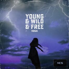Album cover of Young & Wild & Free