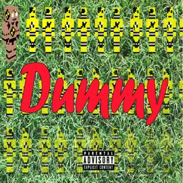 Album cover of DUMMY