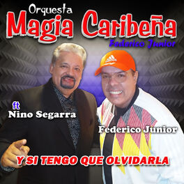 Album cover of Y Si Tengo Que Olvidarla