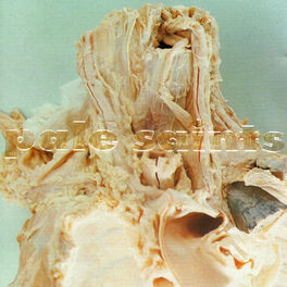 Album cover of In Ribbons