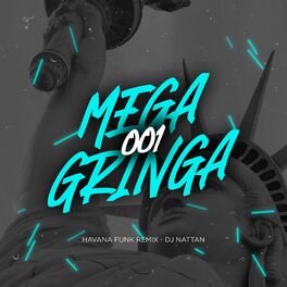 Album cover of Mega Gringa 001
