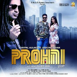 Album cover of Prohni