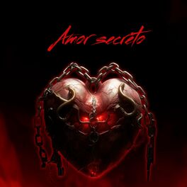 Album cover of Amor Secreto