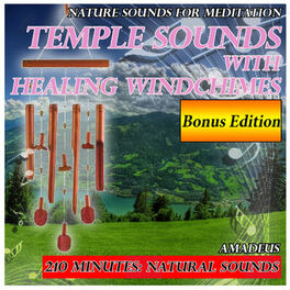 Album cover of Nature Sounds for Meditation: Temple Sounds with Healing Wind Chimes: Bonus Edition