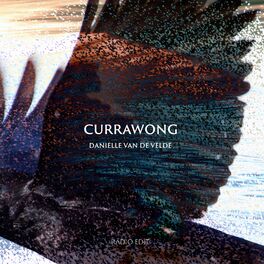 Album cover of Currawong (Radio Edit)