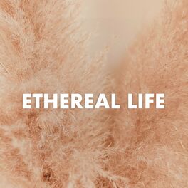 Album cover of Etheral Life