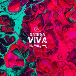 Album cover of Ritmo Ritmo