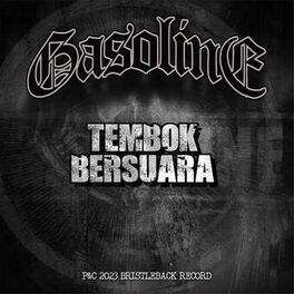 Album cover of Tembok Bersuara
