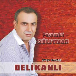Album cover of Delikanlı (Oyun Havası)