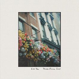 Album cover of Like You