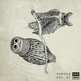 Album cover of Main Course presents Snacks: Volume 7