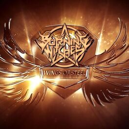 Album cover of Wings of Steel