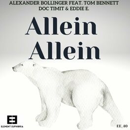 Album cover of Allein Allein