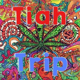 Album cover of Trip