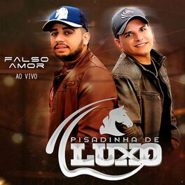 Album cover of Falso Amor Ao Vivo