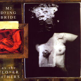 Album cover of As the Flowers Withers