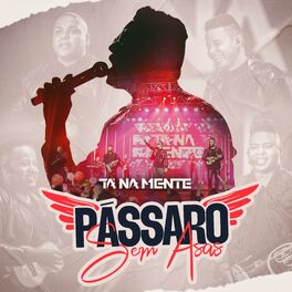 Album cover of Pássaro Sem Asas (Ao Vivo)