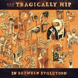 Album cover of In Between Evolution