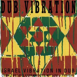 Album cover of Dub Vibration
