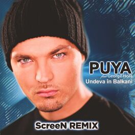 Album cover of Undeva în Balkani (ScreeN Remix)