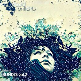 Album cover of Bundle, Vol. 2
