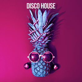 Album cover of Disco House