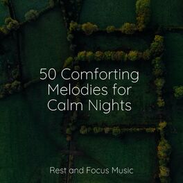 Album cover of 50 Comforting Melodies for Calm Nights