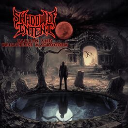 Album cover of Barren and Breathless Macrocosm