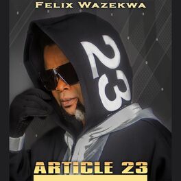 Album cover of Article 23