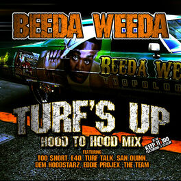 Album cover of Turf's Up (Hood To Hood Remix)