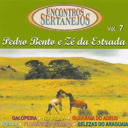Album cover of Encontros Sertanejos, Vol. 7