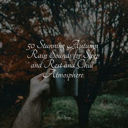 Album cover of 50 Stunning Autumn Rain Sounds for Sleep and Rest and Chill Atmosphere